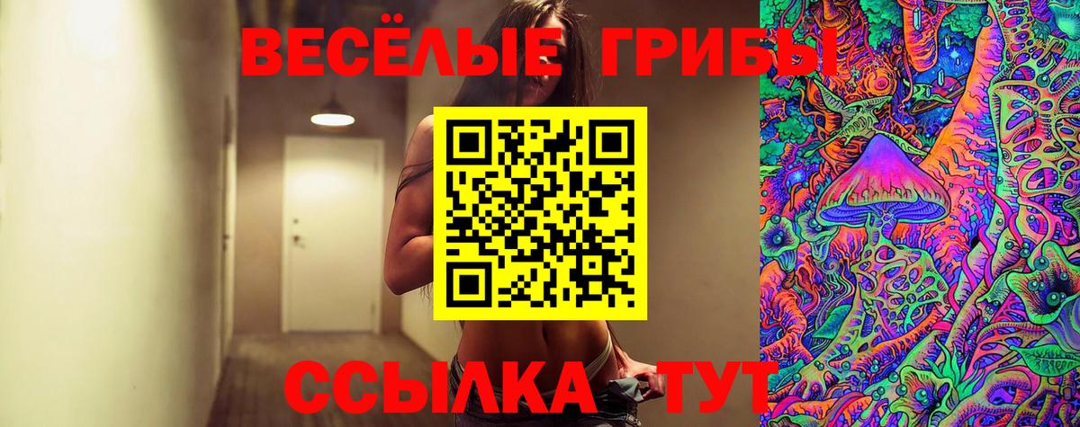 Чита  Псилоцибиновые грибы Cubensis  Вход с VPN 